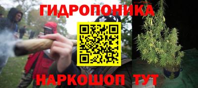 амф Абинск