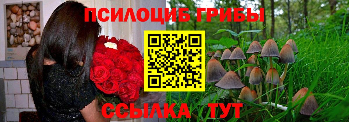 Псилоцибиновые грибы MAGIC MUSHROOMS Алатырь