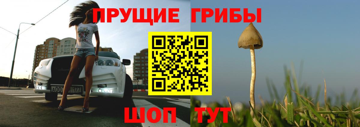 Алатырь  Галлюциногенные грибы мухоморы  Вход с VPN 